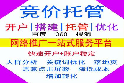 谷歌竞价广告在电商行业的运用案例